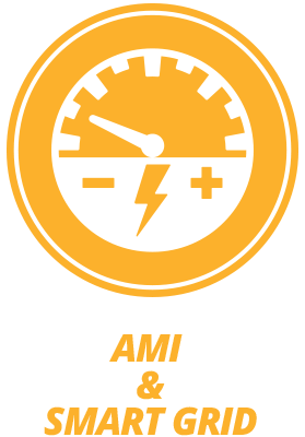 AMI & Smart Grid